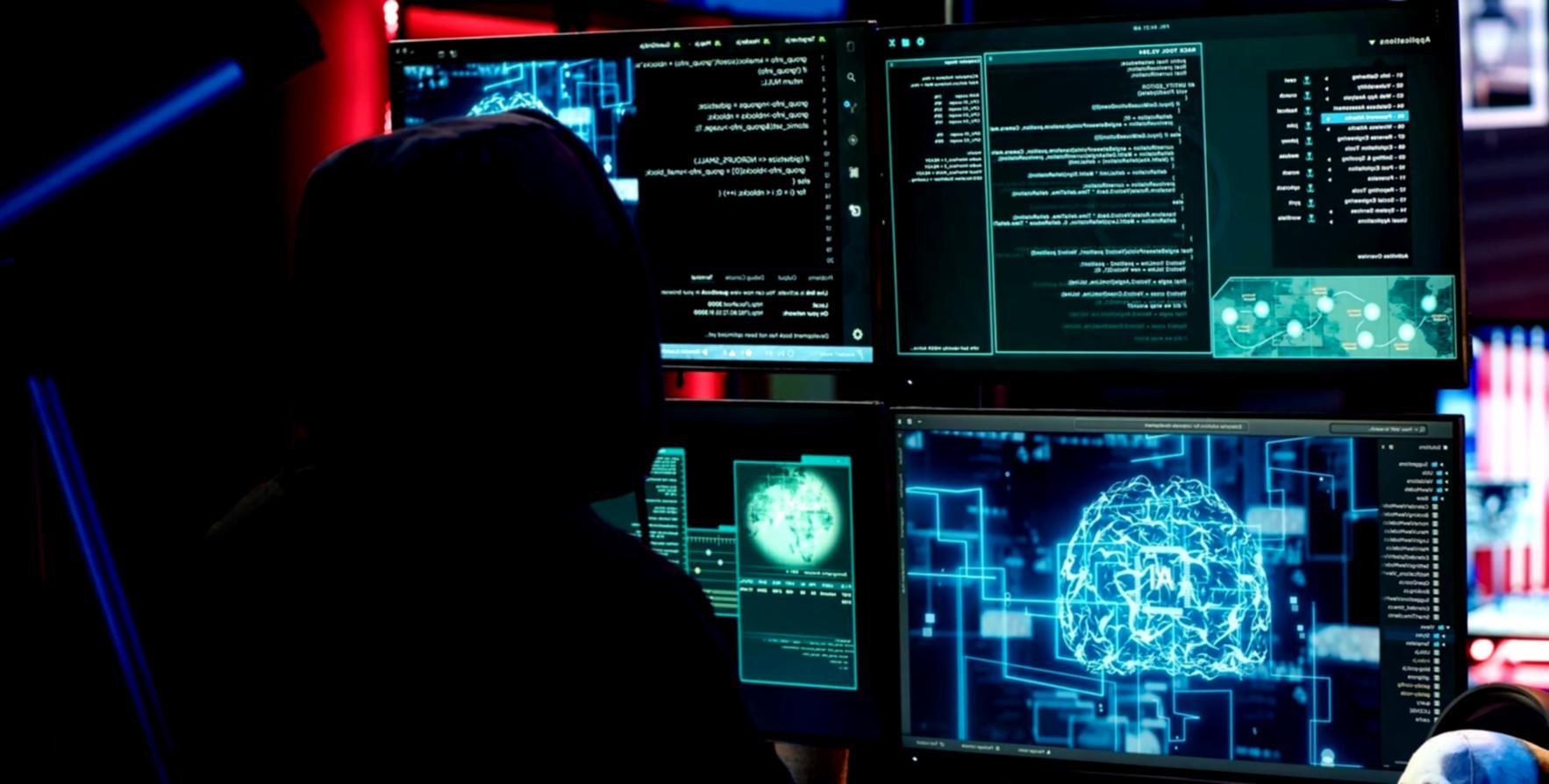 Professioneller Datenbank-Entwickler bei der Arbeit